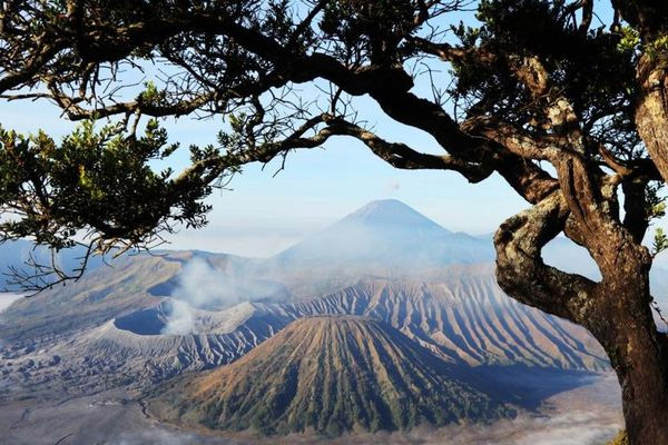 Bromo Diselimuti Es, Suhu Udara Capai 5 Derajat Celsius